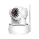 Security & Protection